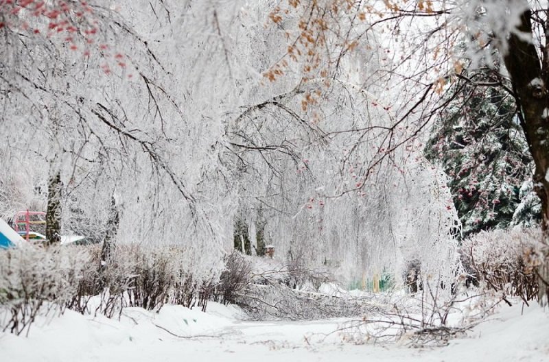 L'inverno russo, per tradizione, può rivelarsi particolarmente nevoso