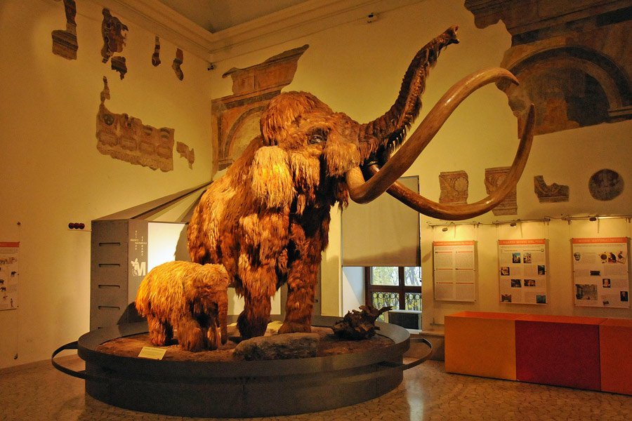 Museo delle Scienze Naturali di Bergamo