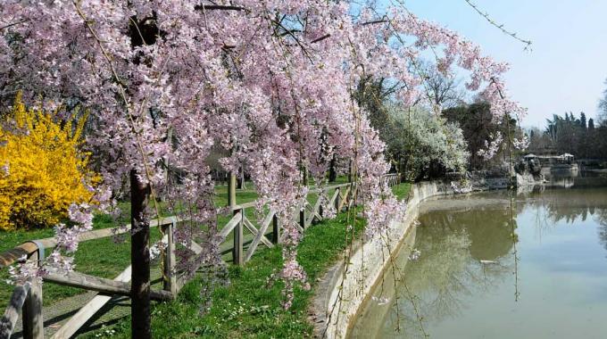 Giardini Margherita di Bologna