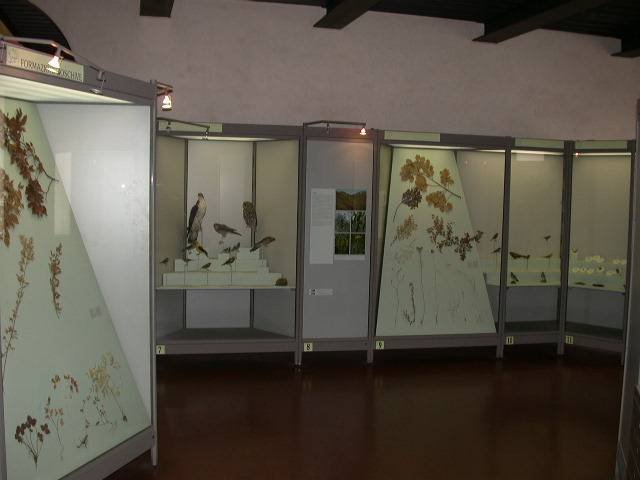 museo-naturalistico-archeologico-vicenza