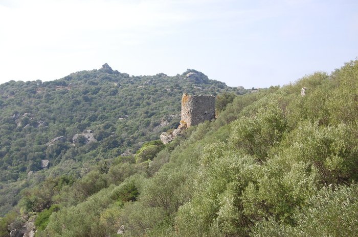 Castello-di-sa-paulazza-Olbia