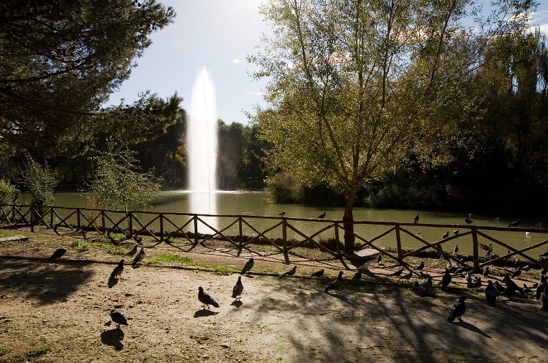 Pineta Dannunziana a Pescara