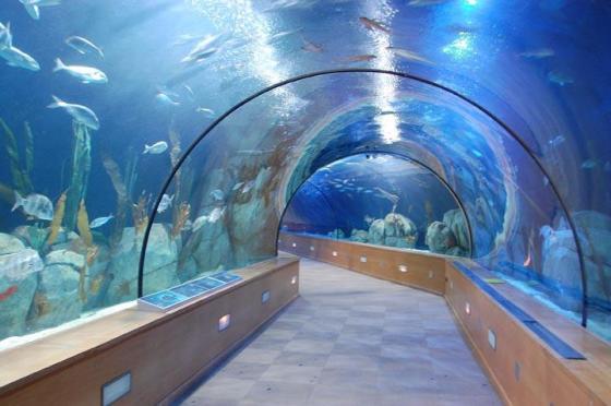 valencia-città-arti-e-scienze-parco-oceanico