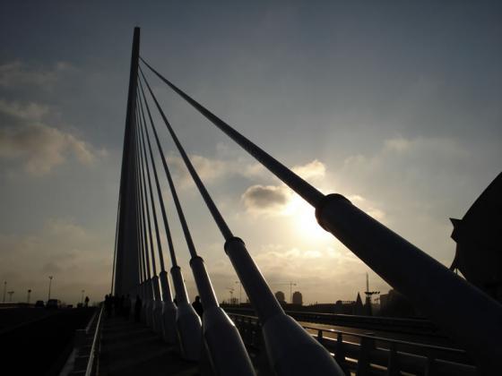 valencia-città-arti-e-scienze-ponte-assut-de-l-or.jpg