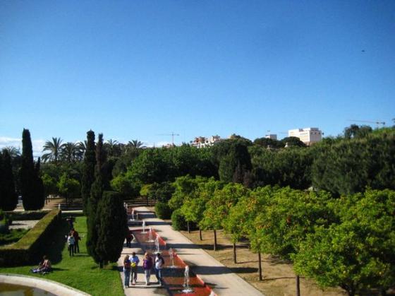valencia-jardì-del-tùria-2