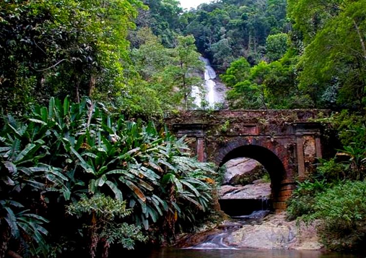 Parco Nazionale di Tijuca a Rio de Janeiro