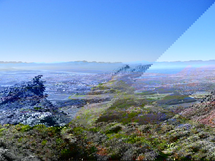 Parco Nazionale di Table Mountain a Città del Capo