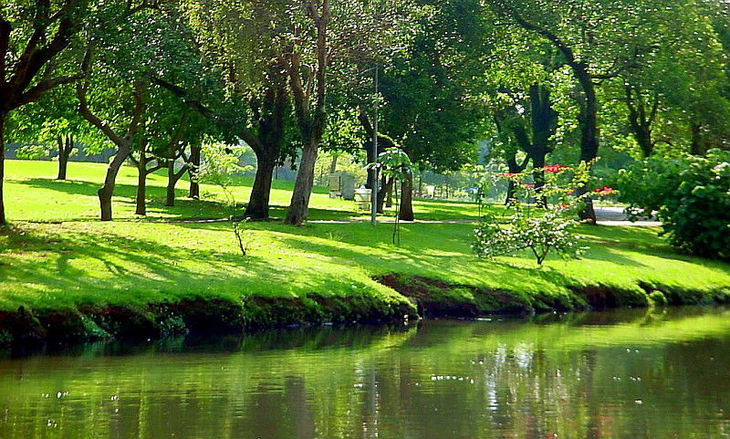 Parco Ibirapuera di San Paolo