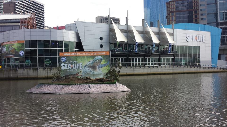 Melbourne-aquarium-sealife