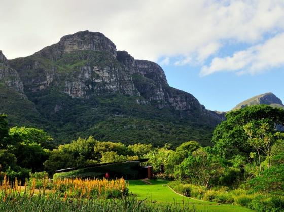 città-del-capo-giardino-kirstenbosch