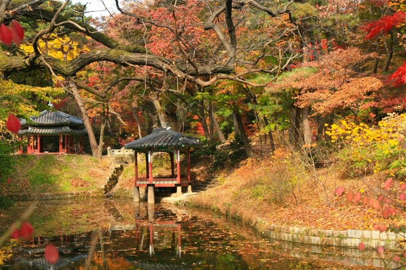 huwon-giardino-changdeokgung-seul