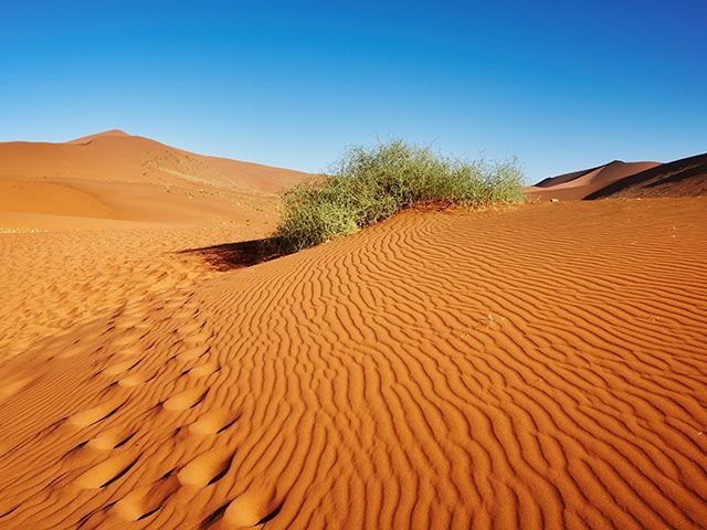 Deserto-del-Sahara-1