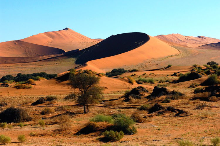 Deserto del Kalahari