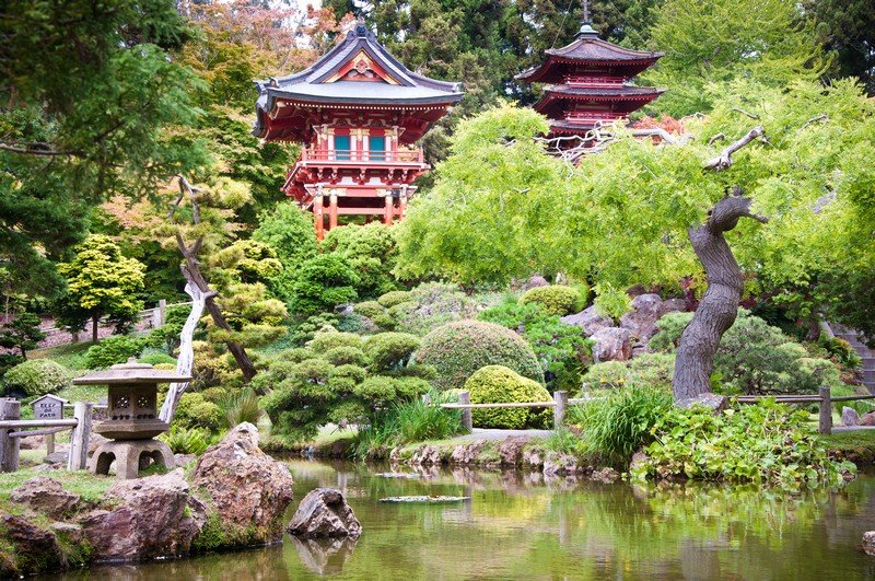 The Japanese Tea Garden all'interno del  Golden Gate Park, San Francisco.