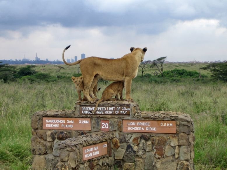 Nairobi-parco-nazionale