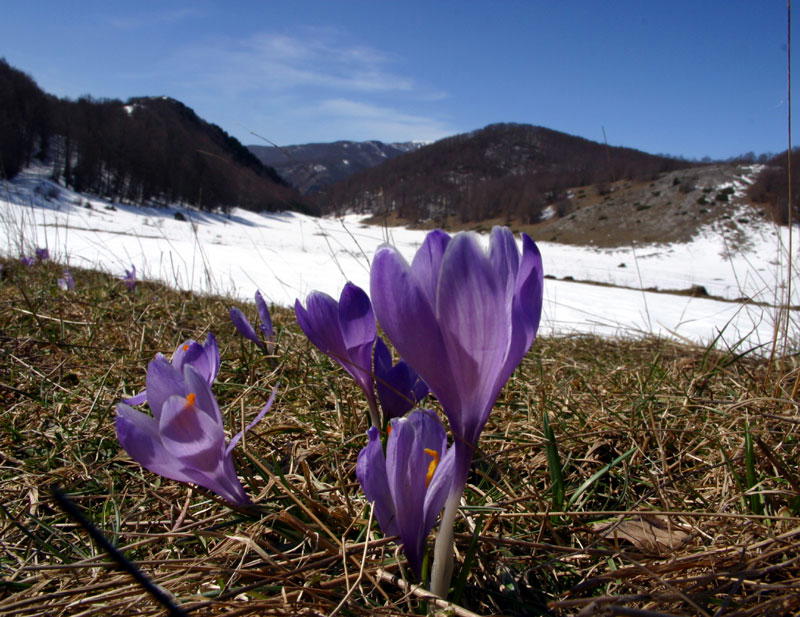 Parco Nazionale del Pollino