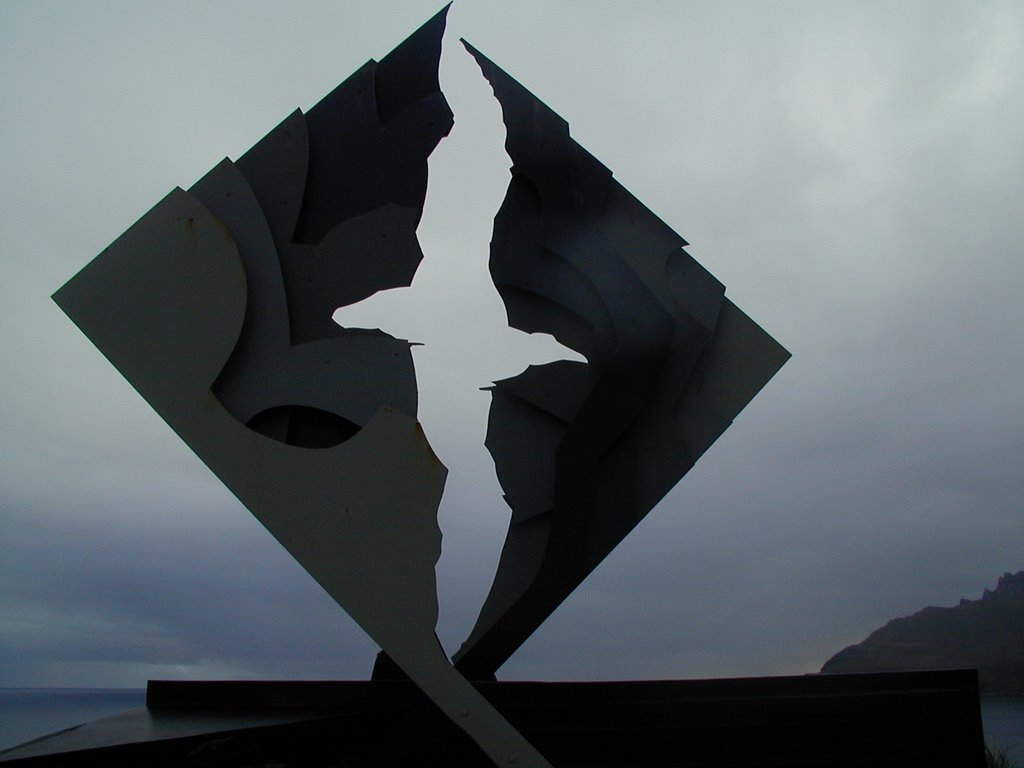 capo-horn-scultura-albatro