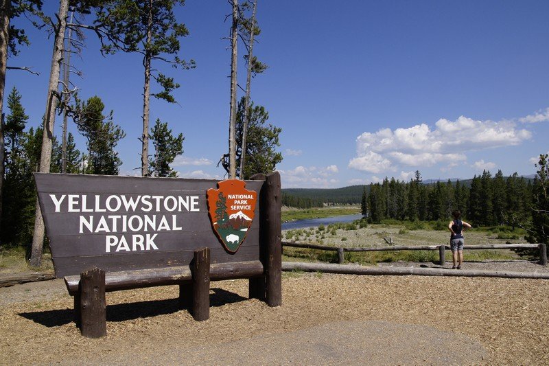 Parco di Yellowstone