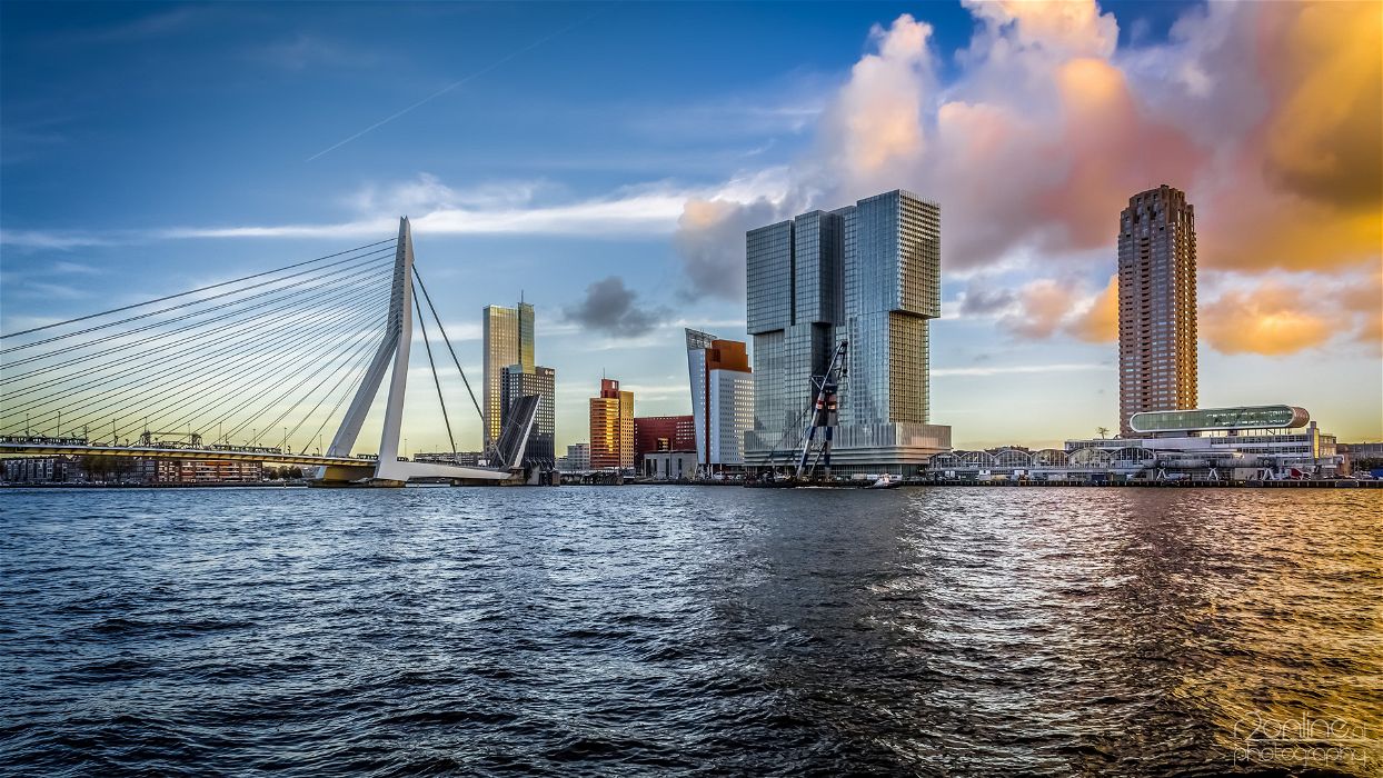 Guida di Rotterdam