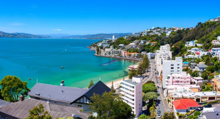 Guida di Wellington