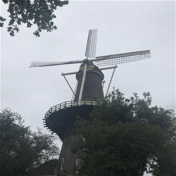 L’Olanda in bicicletta