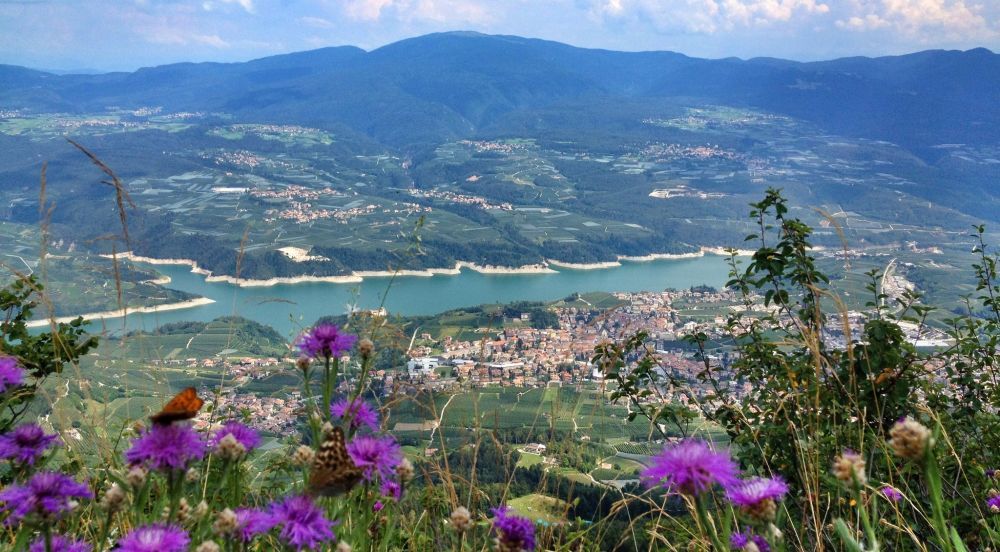 Val di Non in Trentino: una vacanza tra laghi e castelli