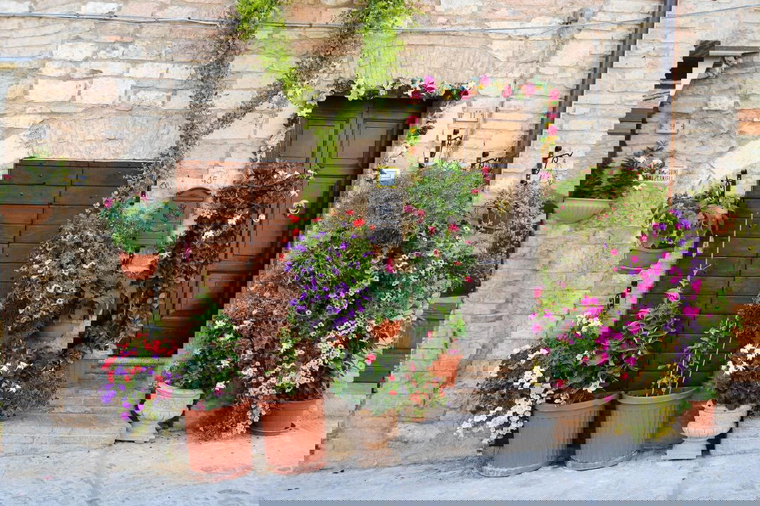 In viaggio verso Spello