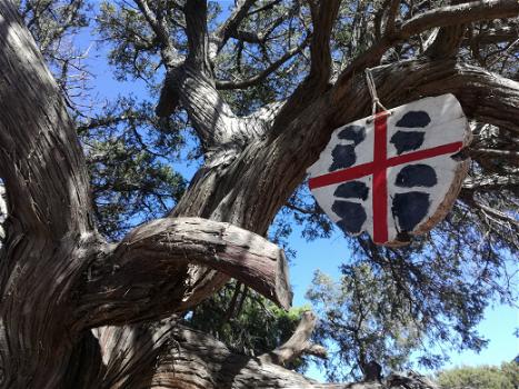 Sardegna selvaggia: L’albero del Poeta