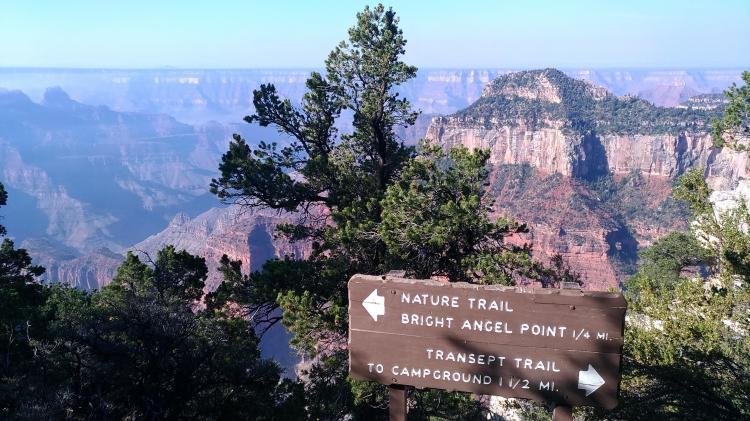 Visita al Grand Canyon, North e South Rim