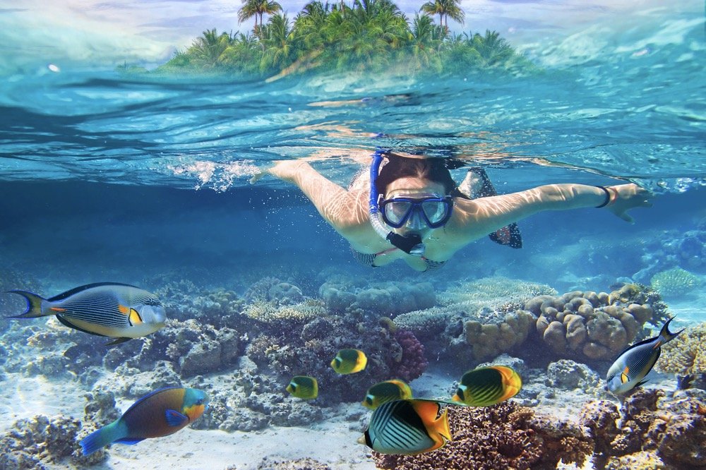 Fra le varie cose da fare alle Maldive, lo snorkeling è la più gettonata