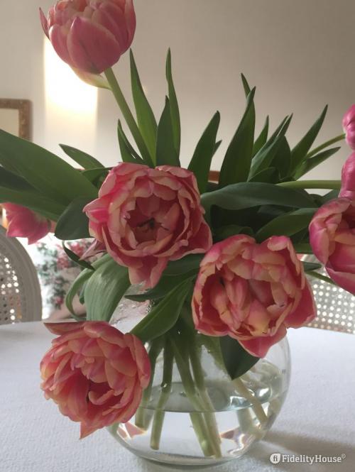 Tutto cambia con un vaso di tulipani color lampone