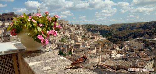 Anche l'uccellino si ferma estasiato!