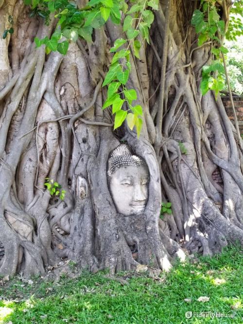 Buddha incastonato, Sukhothai, Thailandia