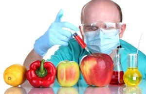 Alimenti OGM